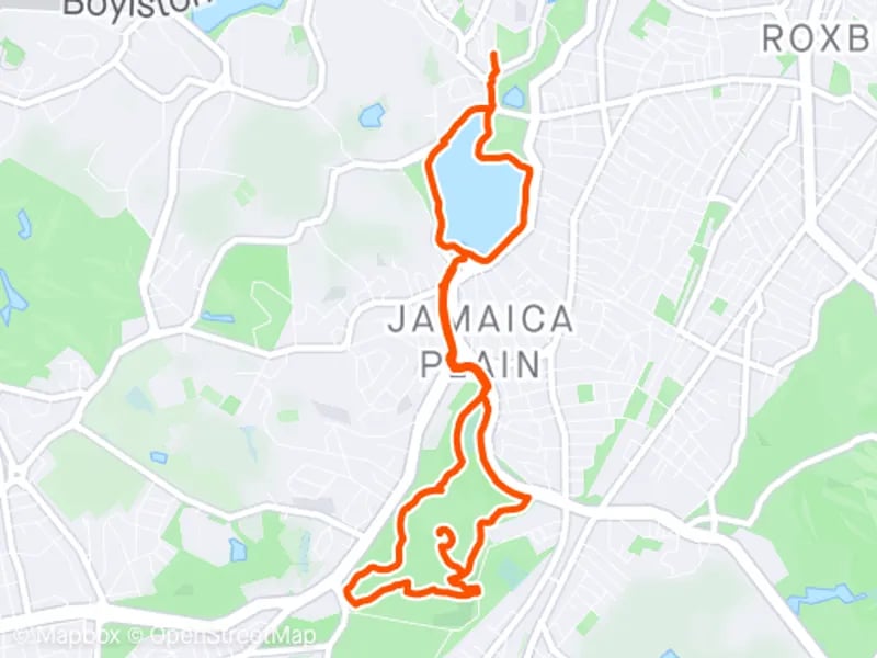 Harvard Arboretum Loop running route